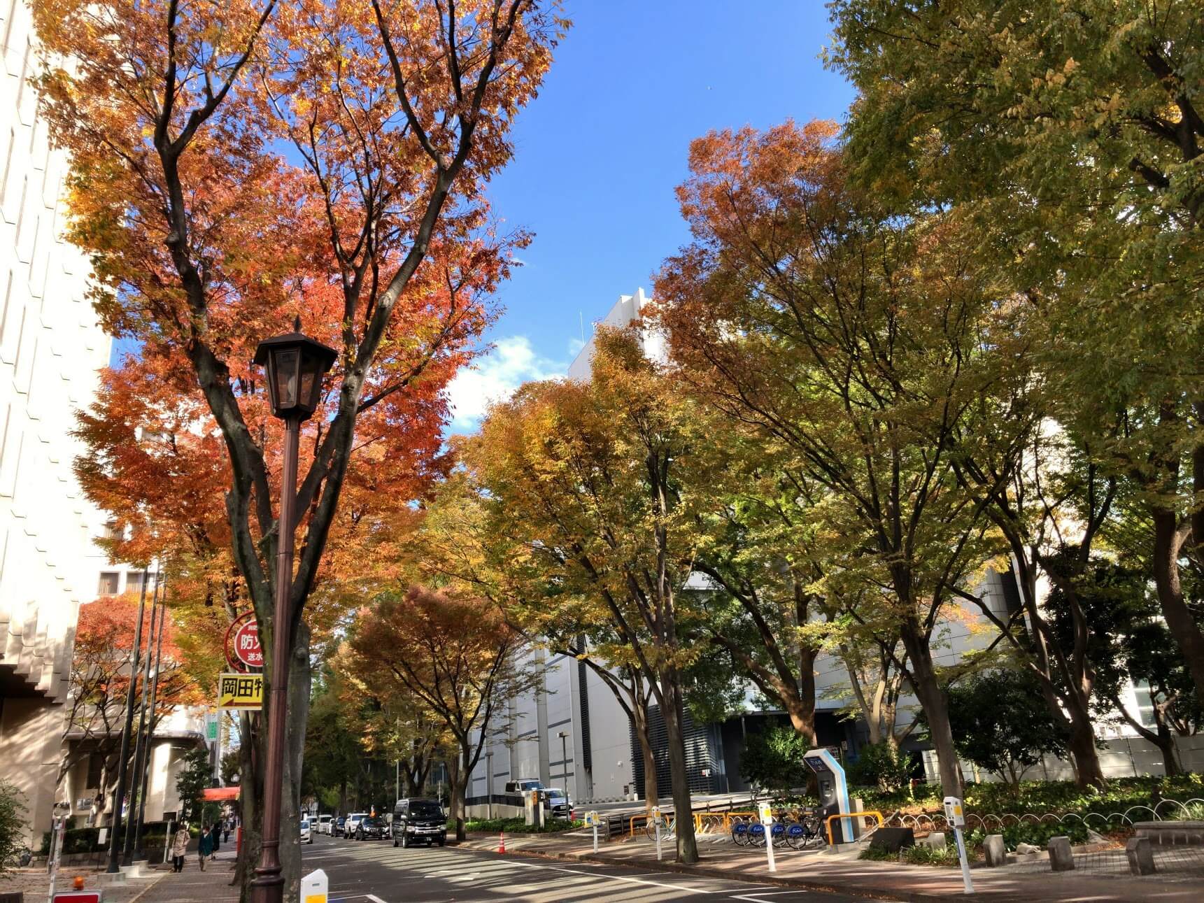 秋の街並み